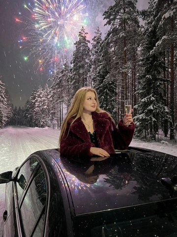   Портрет молодой женщины с длинными волосами в красивой укладке, ее голова повернута в сторону, и она смотрит вдаль. Девушка по пояс высунулась из люка темного автомобиля. На ней толстая пушистая бордовая шуба из искусственного меха.
В поднятой правой руке она держит бокал с шампанским, как будто произносит тост. На заднем плане изображен безмятежный зимний лес с высокими соснами, покрытыми снегом, по обеим сторонам заснеженной дороги, уходящей вдаль.
Время суток - темная ночь, небо освещено ярким масштабным салютом, всполохи которого сверкают и отражаются на глянцевом кузове автомобиля. Мягкое естественное освещение, общее романтическое настроение на фоне спокойного зимнего пейзажа